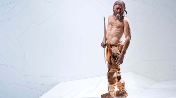 Una nuova cella frigorifera per Ötzi