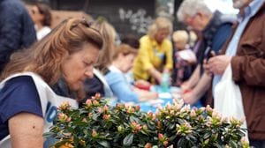Tornano le Azalee della ricerca. «Risorse che donano speranza»