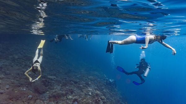 Il turismo subacqueo è nemico dei coralli