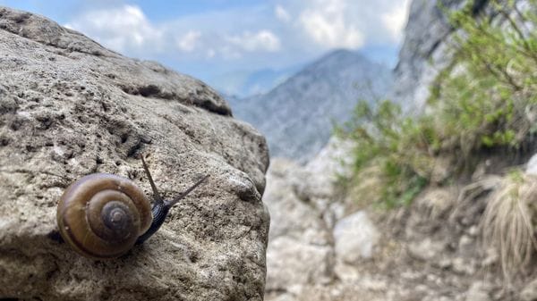 In montagna