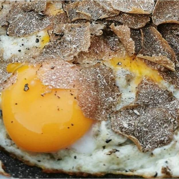 Il tartufo, protagonista dei piatti estivi