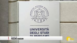 Bergamo, studi universitari e sbocchi professionali, un rapporto positivo
