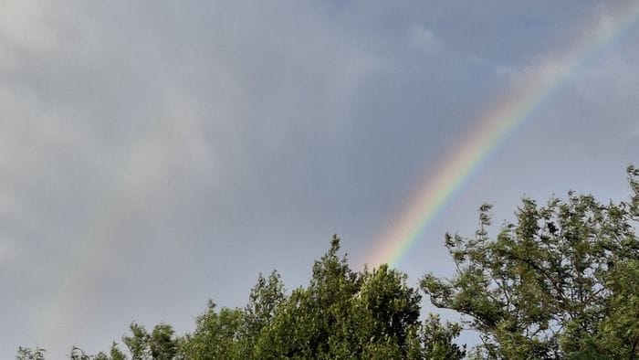 «Arcobaleno...»