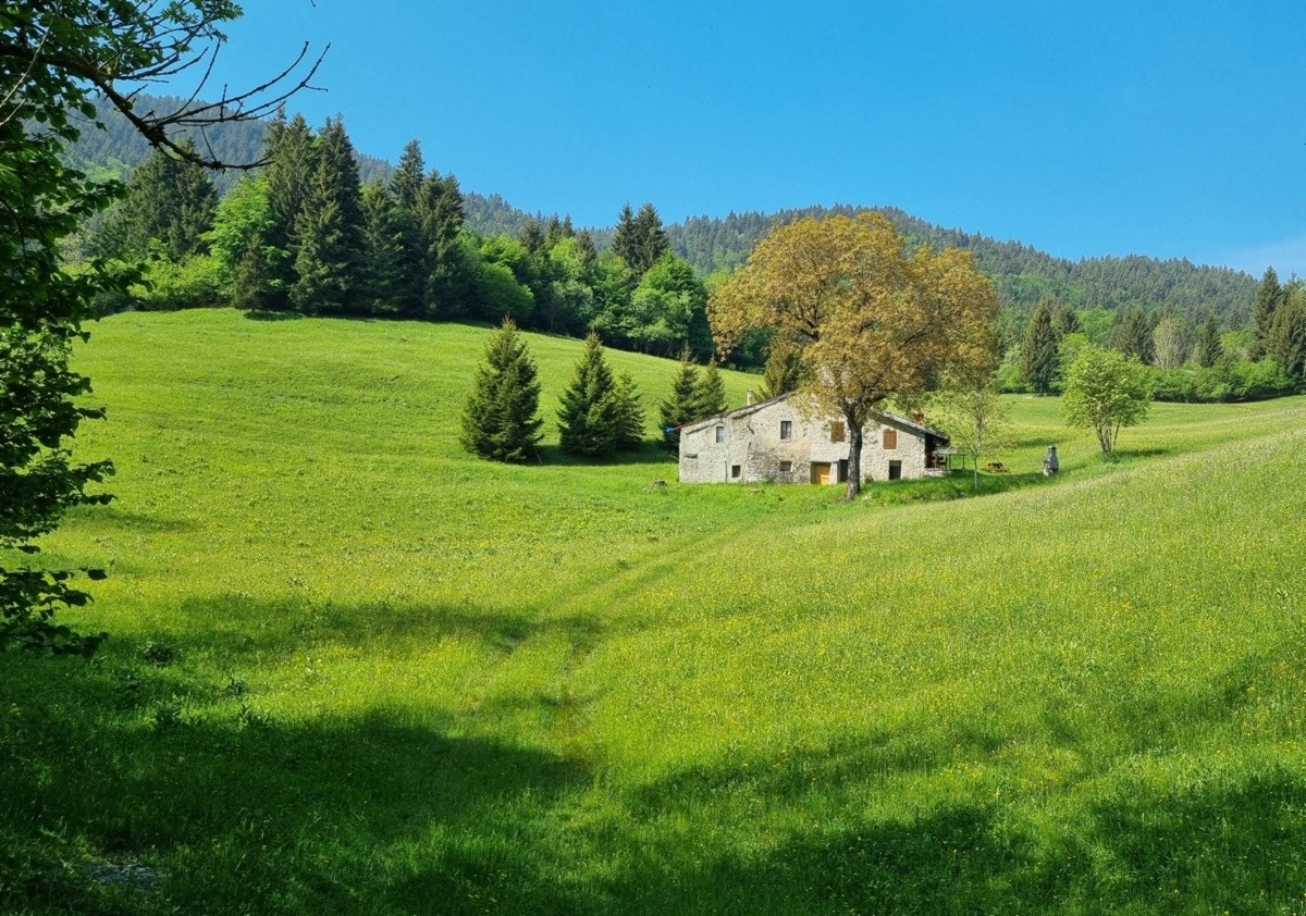 Il fascino discreto del monte Fogarolo