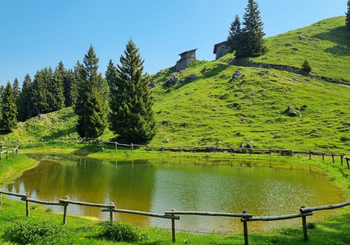 Il fascino discreto del monte Fogarolo