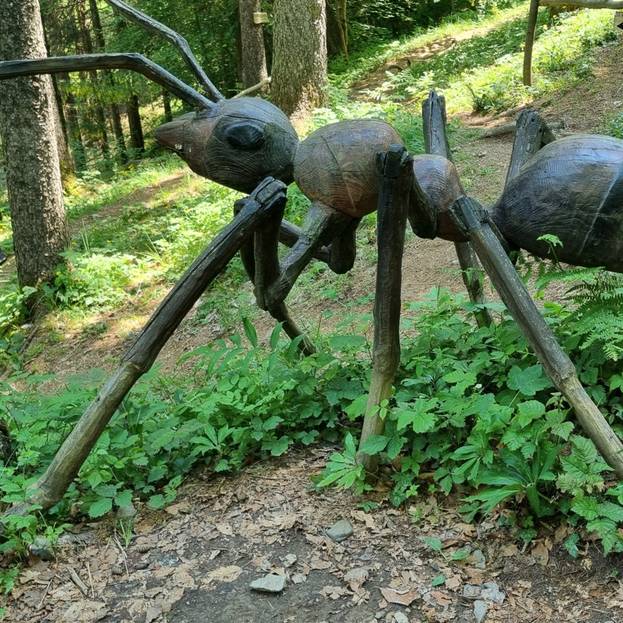 Il fascino discreto del monte Fogarolo