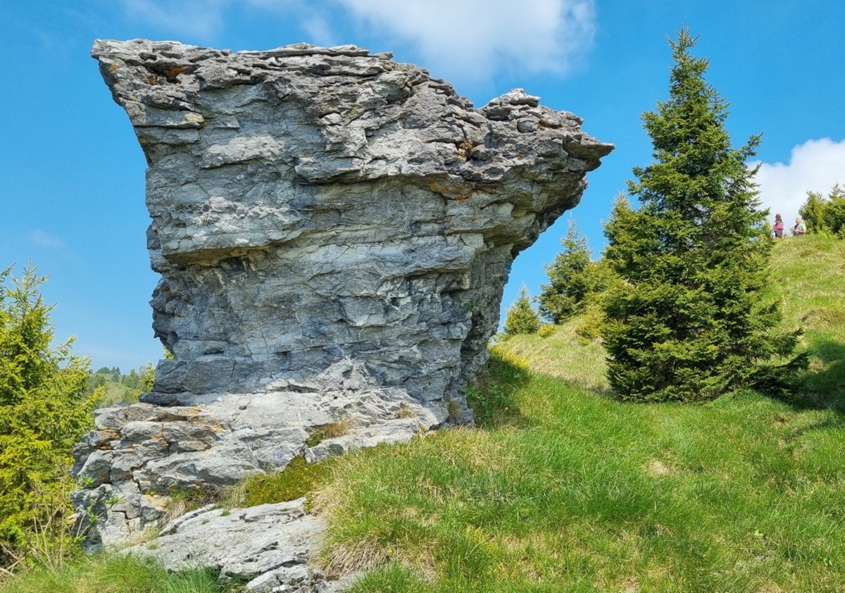 Il fascino discreto del monte Fogarolo