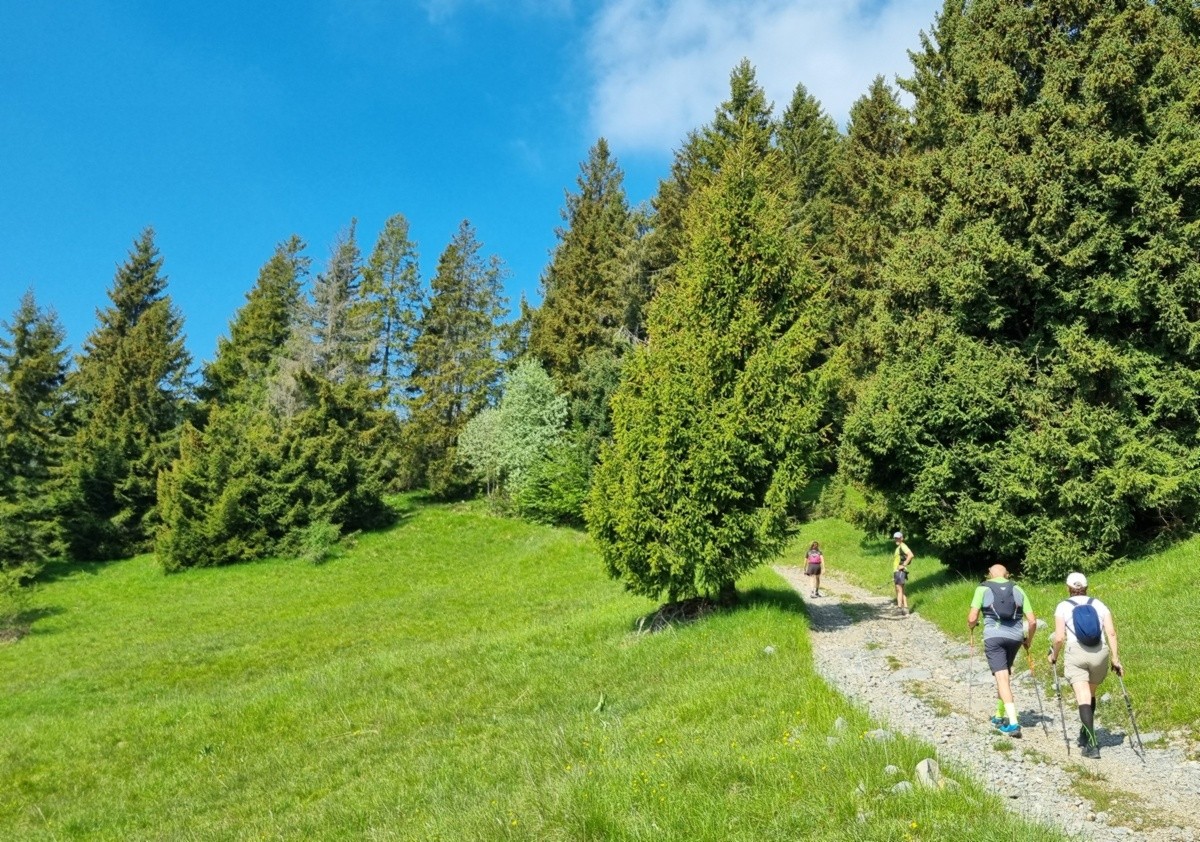 Il fascino discreto del monte Fogarolo