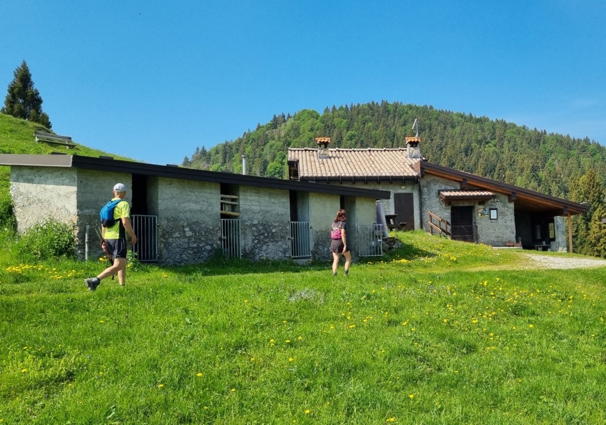 Il fascino discreto del monte Fogarolo