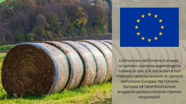 Immagine per ansa-c79d3e42-2363-49e5-8a2e-4284192c676a