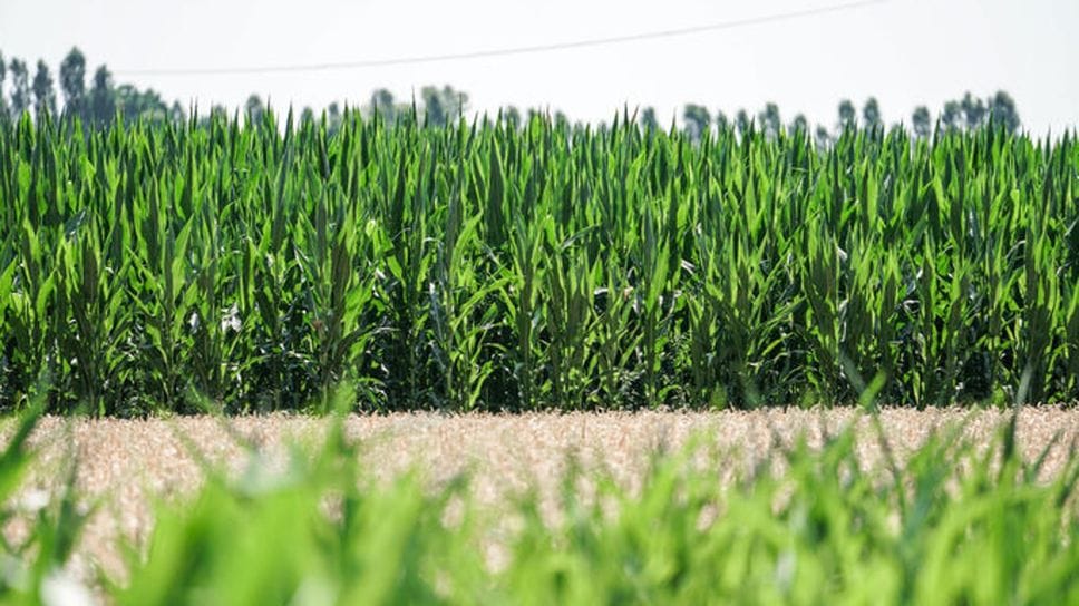 Crisi idrica, in Lombardia manca il 26% d’acqua. «Dal 21 giugno erogazioni ridotte»