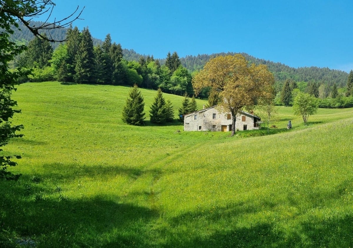 Il fascino discreto del monte Fogarolo