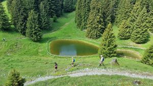Il fascino discreto del monte Fogarolo