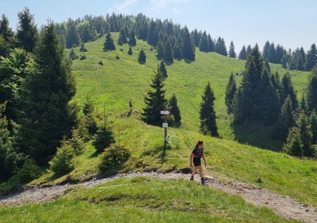 Il fascino discreto del monte Fogarolo