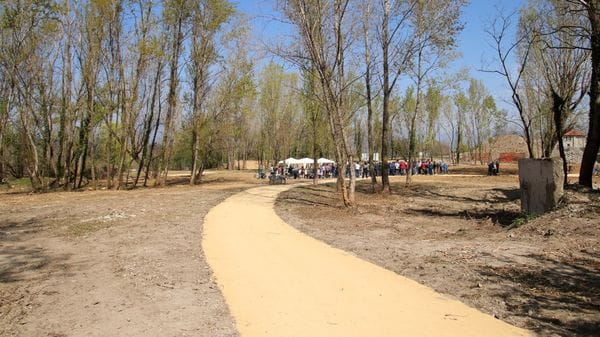 «A 83 anni rapinato di catenina e bracciale d’oro da due ragazzi a Treviolo»