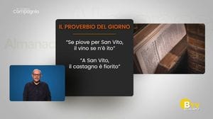 IN VOSTRA COMPAGNIA