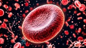Il premio Aspen alla ricerca che apre la via alle 'fabbriche del sangue'   VIDEO