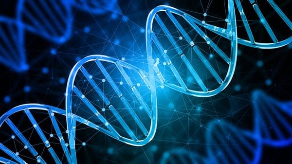 Non solo doppia elica, dai nodi del Dna la strada per nuove terapie