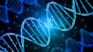 Non solo doppia elica, dai nodi del Dna la strada per nuove terapie