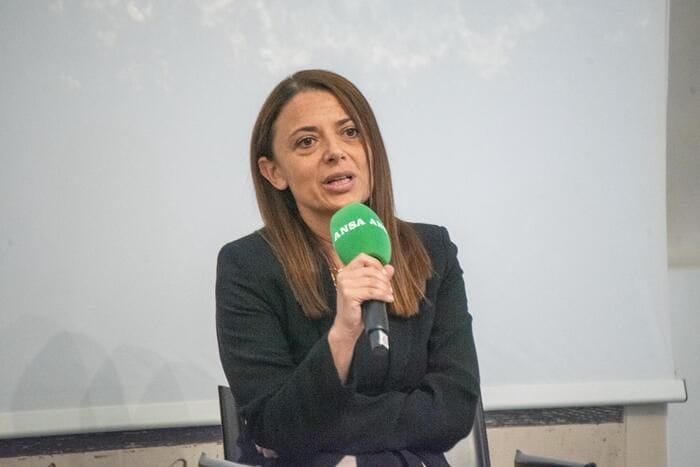 Terna, 'reti di trasmissione al centro della transizione energetica'