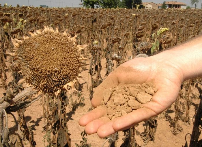 In Europa 105 milioni di persone colpite da scarsità d'acqua