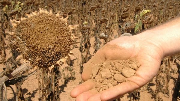 In Europa 105 milioni di persone colpite da scarsità d'acqua