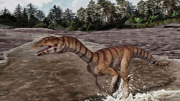 Nel Triassico vivevano coccodrilli bipedi e sdentati 