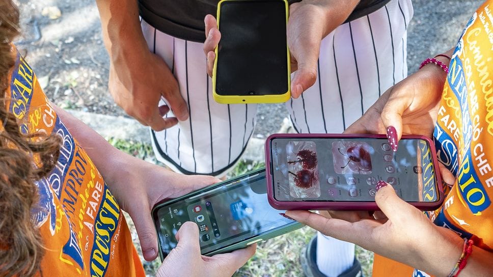 «Vietare i social agli under 16? Perché no» - Vota al sondaggio