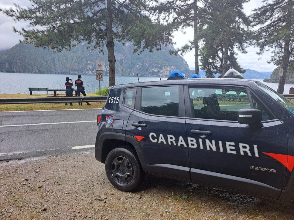 Albero monumentale potato senza autorizzazione: 5mila euro di multa