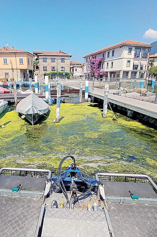 Caldo fino a 35 gradi. E al lago le alghe arrivano in largo anticipo