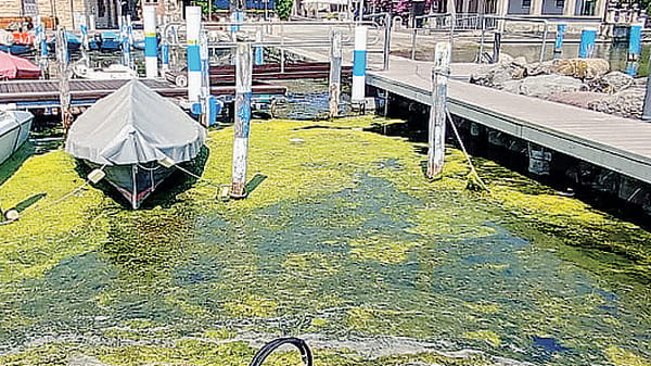 Caldo fino a 35 gradi. E al lago le alghe arrivano in largo anticipo