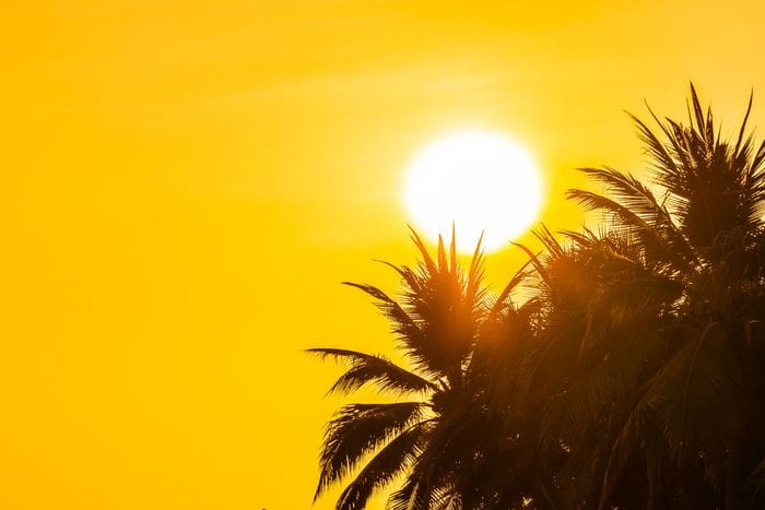 Il solstizio dà il benvenuto all'estate col giorno più lungo 