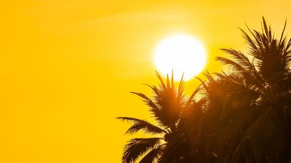 Il solstizio dà il benvenuto all'estate col giorno più lungo 