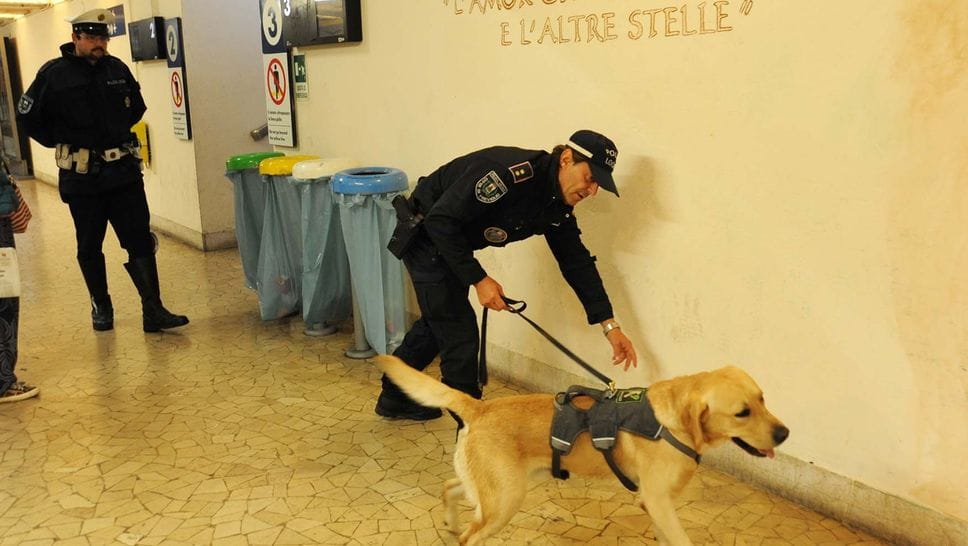 Addio Trevi, era il cane anti droga della polizia locale di Treviglio