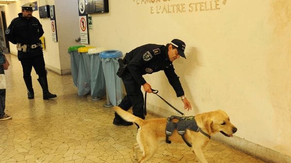 Addio Trevi, era il cane anti droga della polizia locale di Treviglio