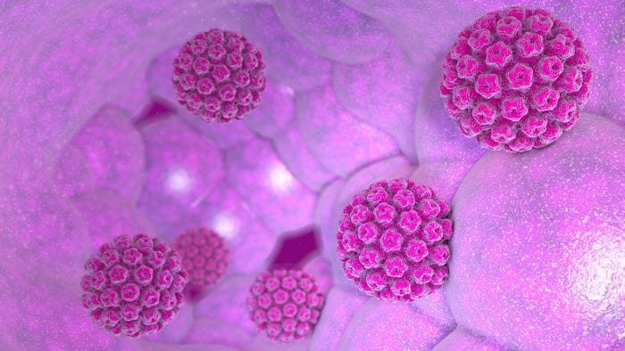bergamo tre giorni di vaccinazione gratuite contro il papilloma virus da Ecodibergamo.it bergamo tre giorni di vaccinazione gratuite contro il papilloma virus
