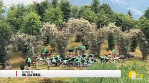 Oltre il Colle, è tempo di rinascita per la «Cattedrale vegetale»