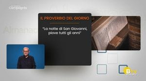 IN VOSTRA COMPAGNIA