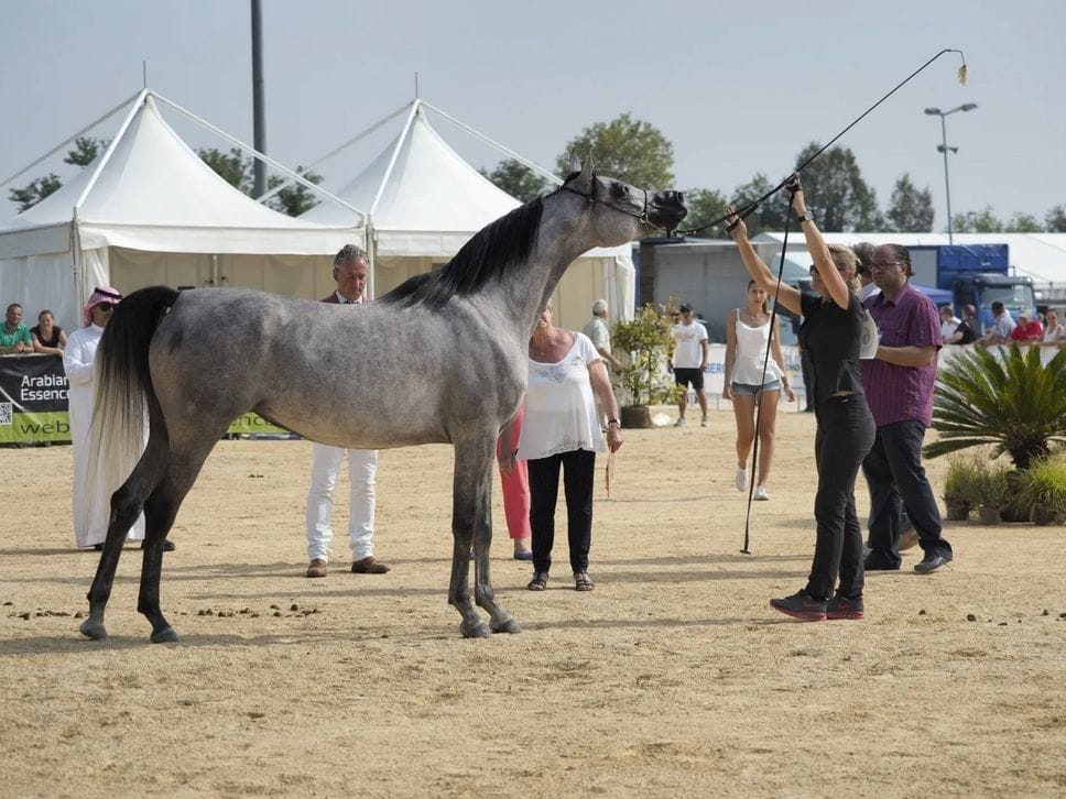  Promoberg, un polo per lo sviluppo del territorio