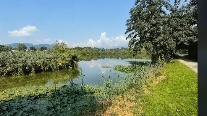 La quiete del Lago di Sartirana