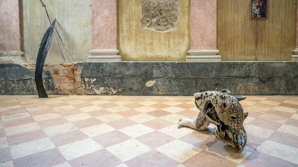 Le Specie e l’architettura in dialogo a San Rocco