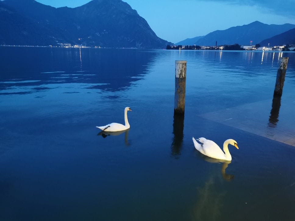 Laghi d’Iseo, Endine, Gaiano e Giudici: acque eccellenti per la stagione balneare