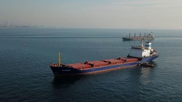 Immagine per ansa-24cbecda-74bf-4244-b583-313071504fc4