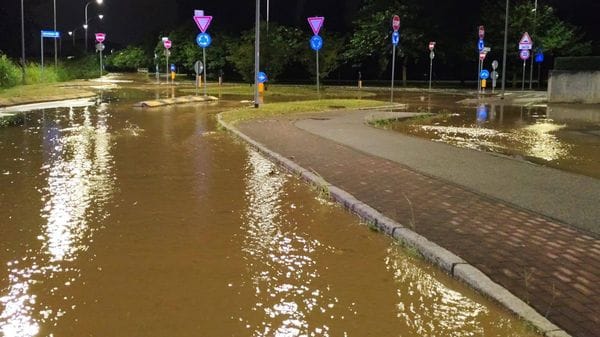 Temporale nella notte, allagamento e caduto un albero a Bonate Sopra-Foto