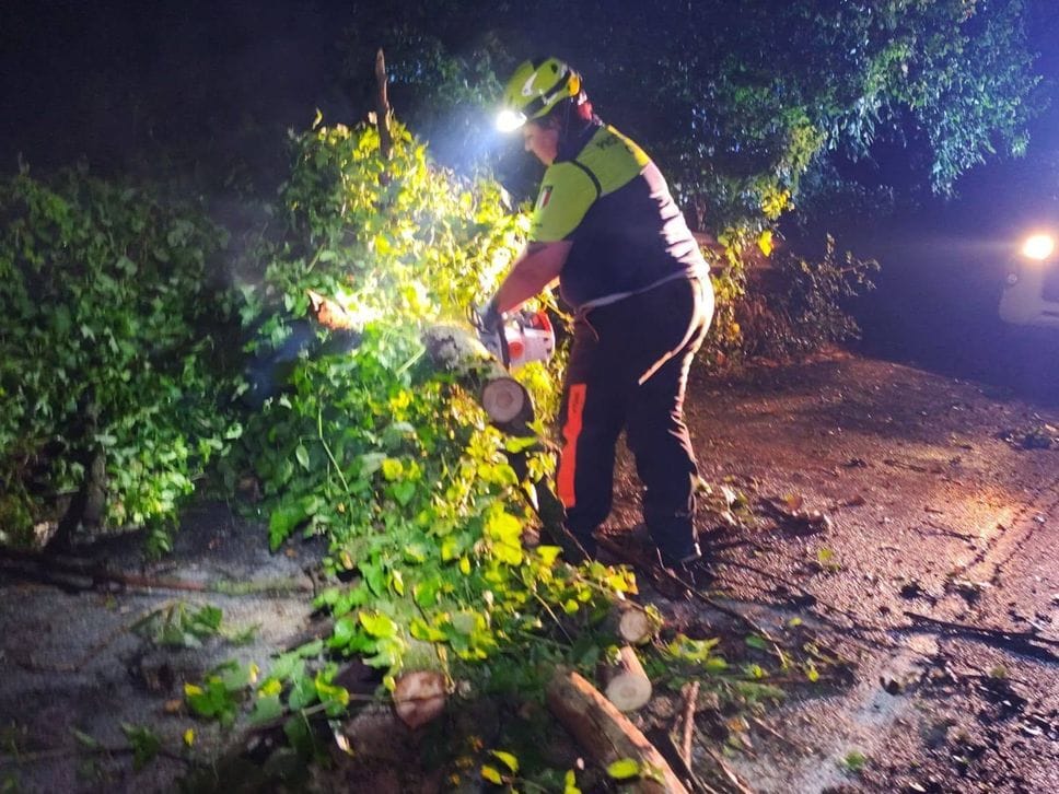 Temporale nella notte, allagamento e caduto un albero a Bonate Sopra-Foto