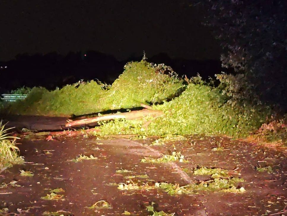 Temporale nella notte, allagamento e caduto un albero a Bonate Sopra-Foto