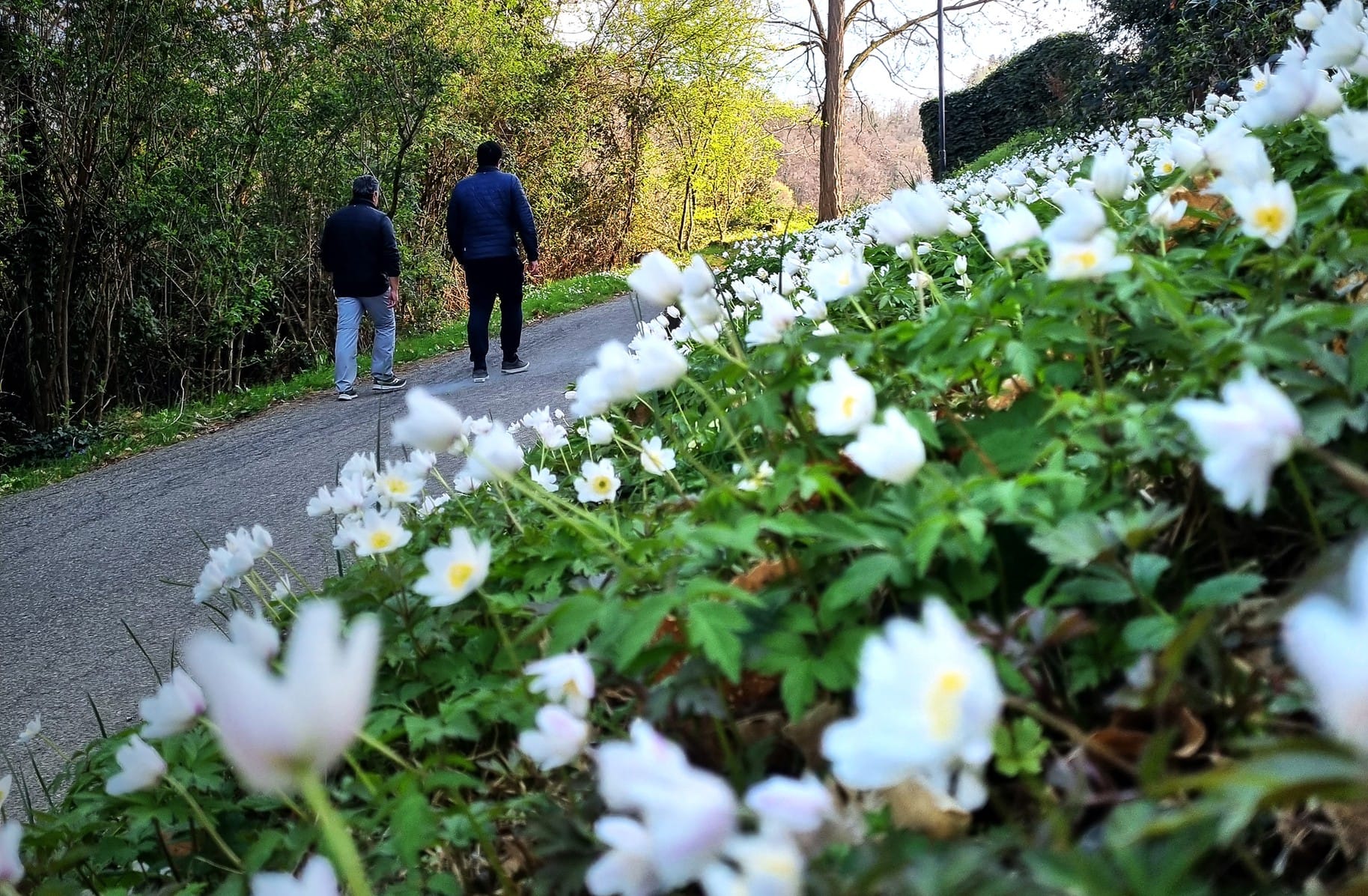 Il fenomeno delle notti tropicali: quali sono le cause e dove “rifugiarsi” a Bergamo