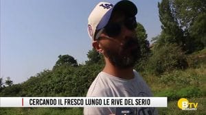 Cercando il fresco lungo le rive del Serio