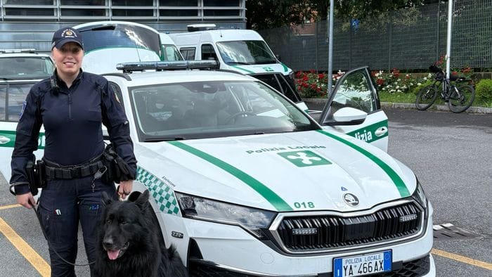 il cane individua la droga in auto due arresti della polizia locale