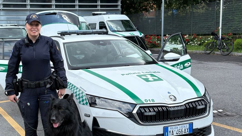 Il cane individua la droga in auto: due arresti della polizia locale
